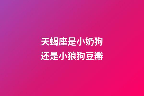 天蝎座是小奶狗还是小狼狗豆瓣-第1张-星座运势-玄机派