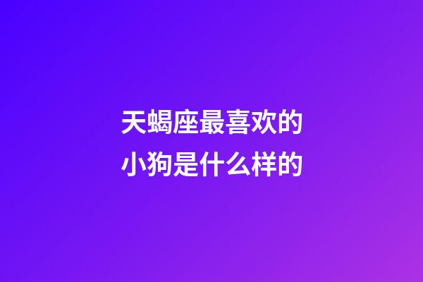 天蝎座最喜欢的小狗是什么样的-第1张-星座运势-玄机派