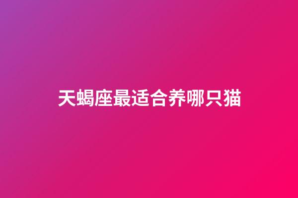 天蝎座最适合养哪只猫-第1张-星座运势-玄机派