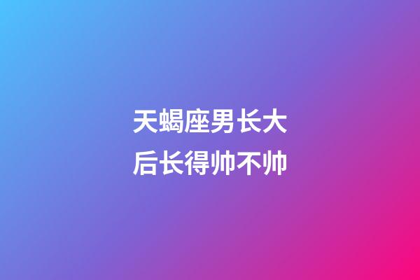 天蝎座男长大后长得帅不帅-第1张-星座运势-玄机派