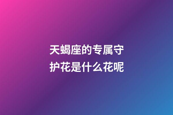 天蝎座的专属守护花是什么花呢-第1张-星座运势-玄机派