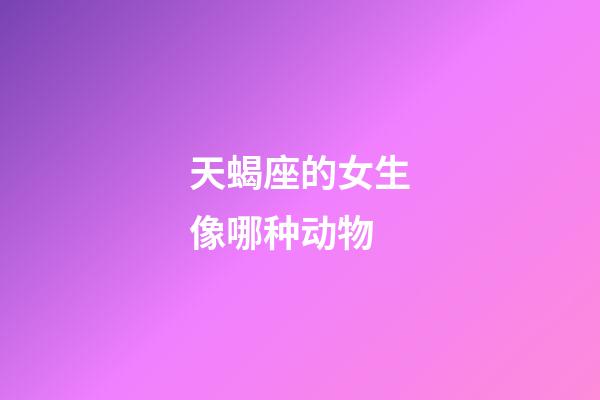 天蝎座的女生像哪种动物-第1张-星座运势-玄机派