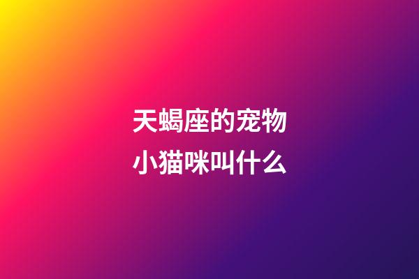 天蝎座的宠物小猫咪叫什么