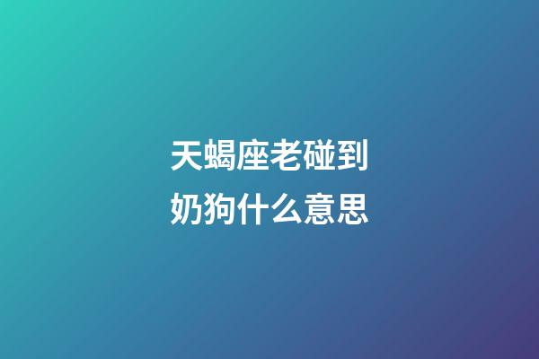 天蝎座老碰到奶狗什么意思-第1张-星座运势-玄机派