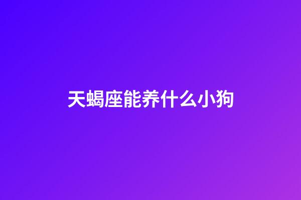 天蝎座能养什么小狗-第1张-星座运势-玄机派