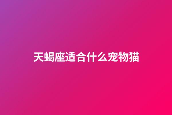 天蝎座适合什么宠物猫-第1张-星座运势-玄机派