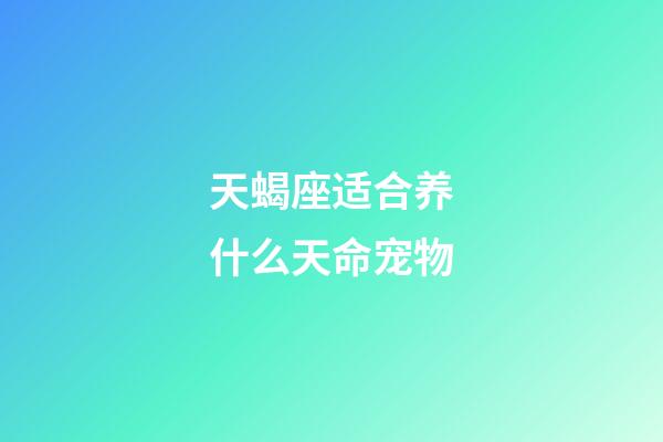 天蝎座适合养什么天命宠物-第1张-星座运势-玄机派