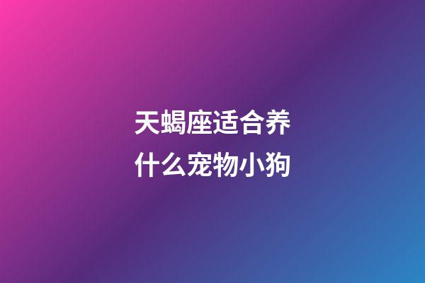 天蝎座适合养什么宠物小狗-第1张-星座运势-玄机派