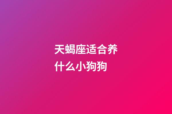 天蝎座适合养什么小狗狗-第1张-星座运势-玄机派