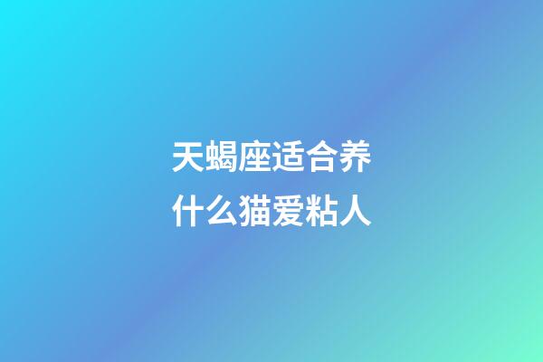 天蝎座适合养什么猫爱粘人-第1张-星座运势-玄机派