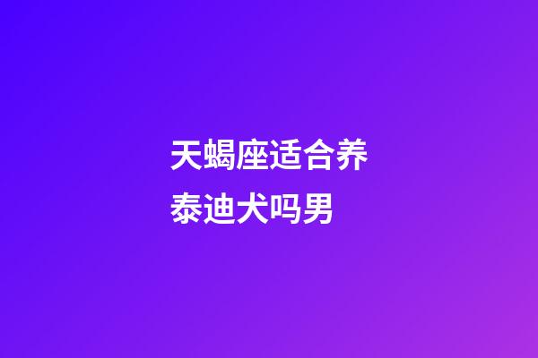 天蝎座适合养泰迪犬吗男-第1张-星座运势-玄机派