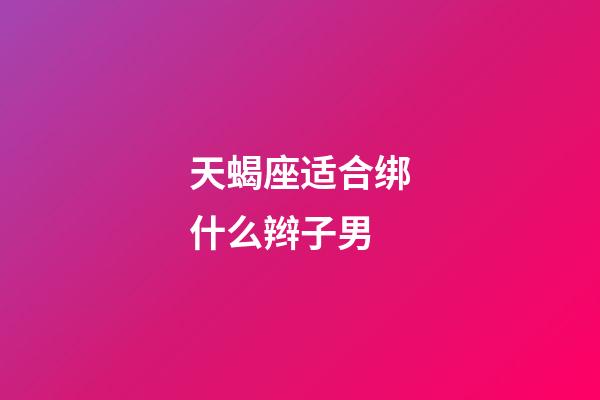 天蝎座适合绑什么辫子男-第1张-星座运势-玄机派