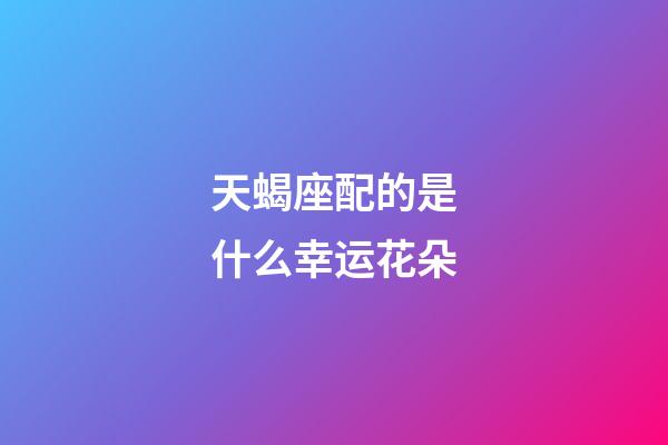 天蝎座配的是什么幸运花朵