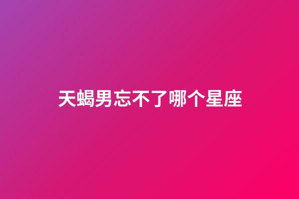 天蝎男忘不了哪个星座-第1张-星座运势-玄机派