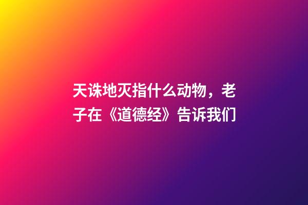 天诛地灭指什么动物，老子在《道德经》告诉我们