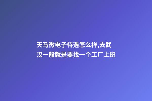 天马微电子待遇怎么样,去武汉一般就是要找一个工厂上班-第1张-观点-玄机派