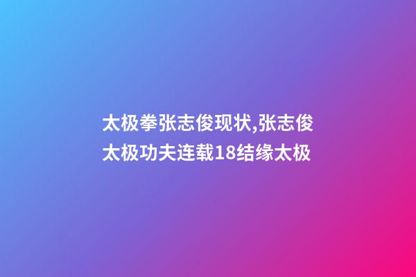 太极拳张志俊现状,张志俊太极功夫连载18结缘太极-第1张-观点-玄机派