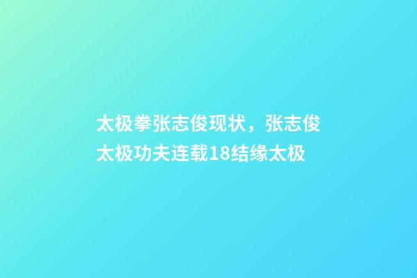 太极拳张志俊现状，张志俊太极功夫连载18结缘太极-第1张-观点-玄机派