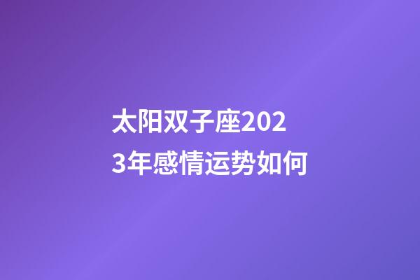 太阳双子座2023年感情运势如何-第1张-星座运势-玄机派