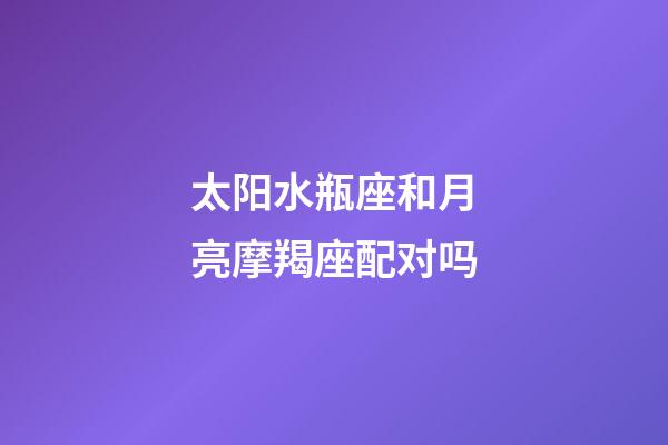 太阳水瓶座和月亮摩羯座配对吗-第1张-星座运势-玄机派