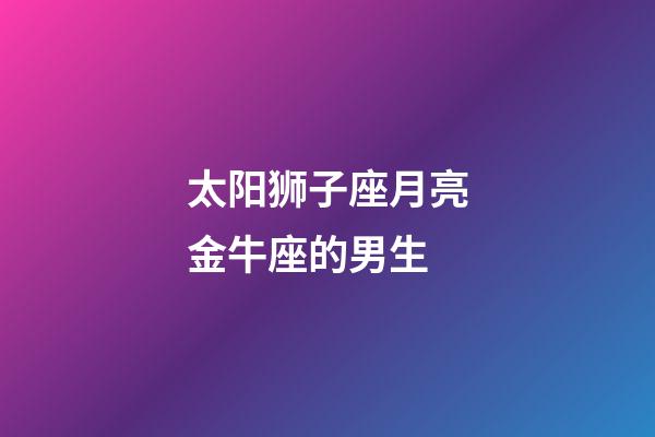 太阳狮子座月亮金牛座的男生-第1张-星座运势-玄机派