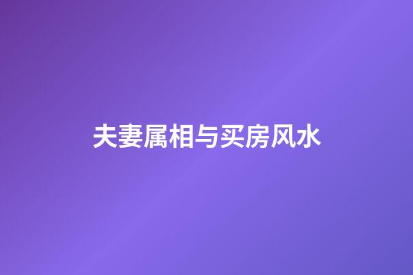 夫妻属相与买房风水