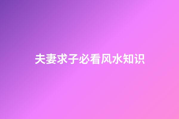 夫妻求子必看风水知识