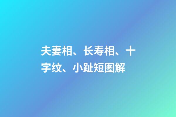 夫妻相、长寿相、十字纹、小趾短图解