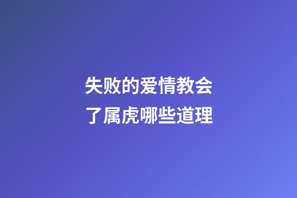 失败的爱情教会了属虎哪些道理