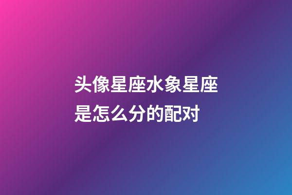 头像星座水象星座是怎么分的配对-第1张-星座运势-玄机派