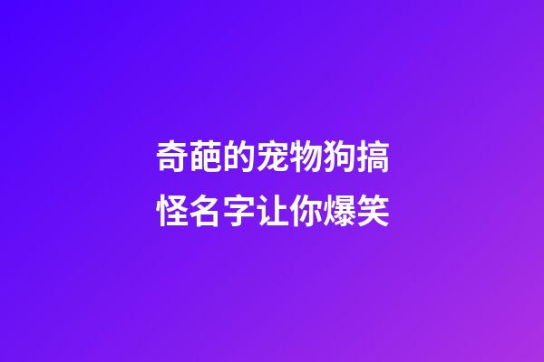 奇葩的宠物狗搞怪名字让你爆笑
