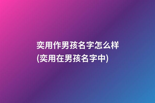 奕用作男孩名字怎么样(奕用在男孩名字中)