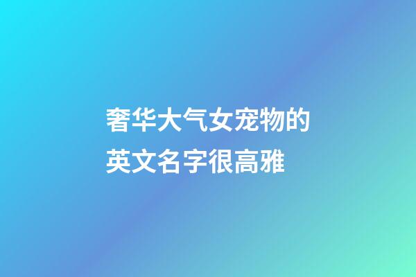 奢华大气女宠物的英文名字很高雅