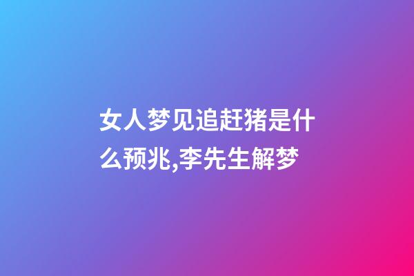 女人梦见追赶猪是什么预兆,李先生解梦-第1张-观点-玄机派