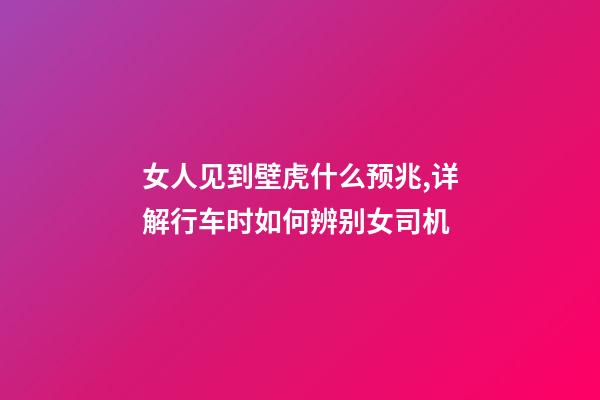 女人见到壁虎什么预兆,详解行车时如何辨别女司机-第1张-观点-玄机派