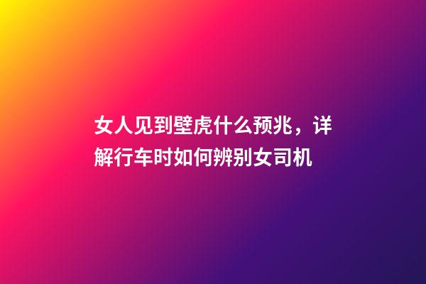 女人见到壁虎什么预兆，详解行车时如何辨别女司机-第1张-观点-玄机派