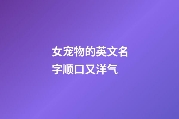 女宠物的英文名字顺口又洋气