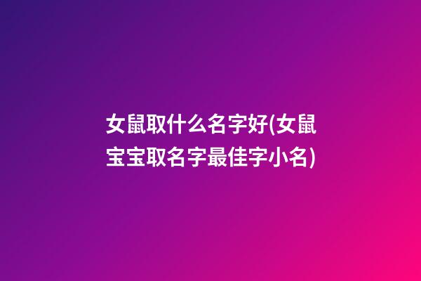 女鼠取什么名字好(女鼠宝宝取名字最佳字小名)