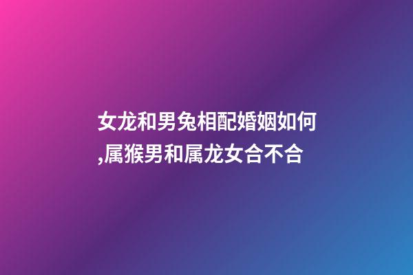 女龙和男兔相配婚姻如何,属猴男和属龙女合不合-第1张-观点-玄机派