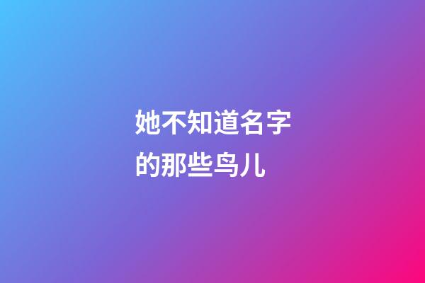 她不知道名字的那些鸟儿