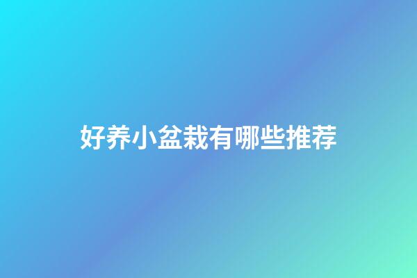 好养小盆栽有哪些推荐
