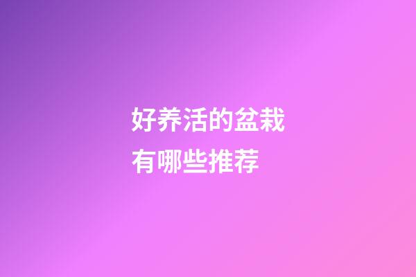 好养活的盆栽有哪些推荐
