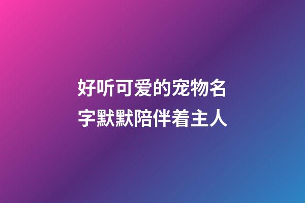 好听可爱的宠物名字默默陪伴着主人
