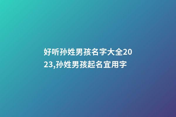 好听孙姓男孩名字大全2023,孙姓男孩起名宜用字