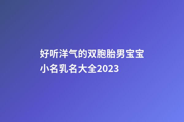 好听洋气的双胞胎男宝宝小名乳名大全2023