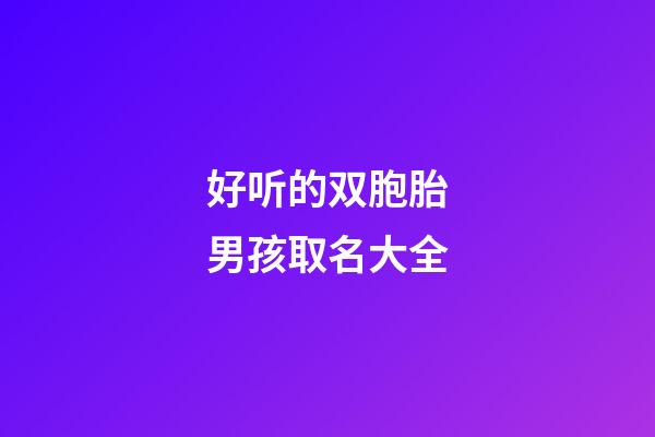 好听的双胞胎男孩取名大全