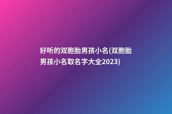 好听的双胞胎男孩小名(双胞胎男孩小名取名字大全2023)