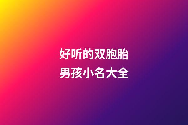 好听的双胞胎男孩小名大全