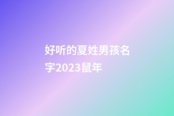 好听的夏姓男孩名字2023鼠年
