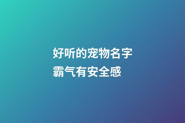 好听的宠物名字霸气有安全感